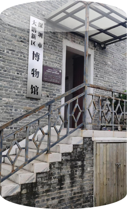 深圳大鵬博物館：探秘古韻，發現新趣！(圖1)